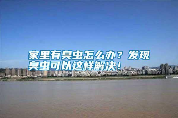 家里有臭蟲怎么辦？發現臭蟲可以這樣解決！