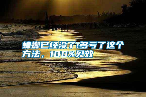 蟑螂已經沒了!多虧了這個方法，100%見效