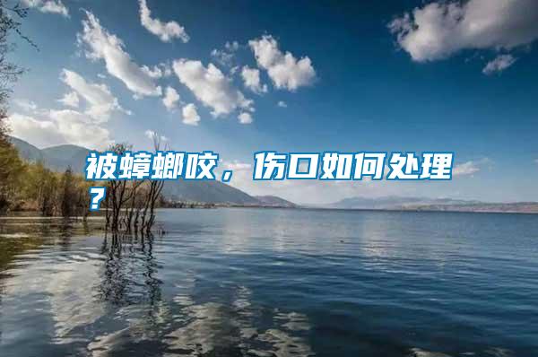 被蟑螂咬，傷口如何處理？