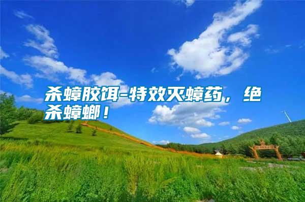 殺蟑膠餌-特效滅蟑藥，絕殺蟑螂！