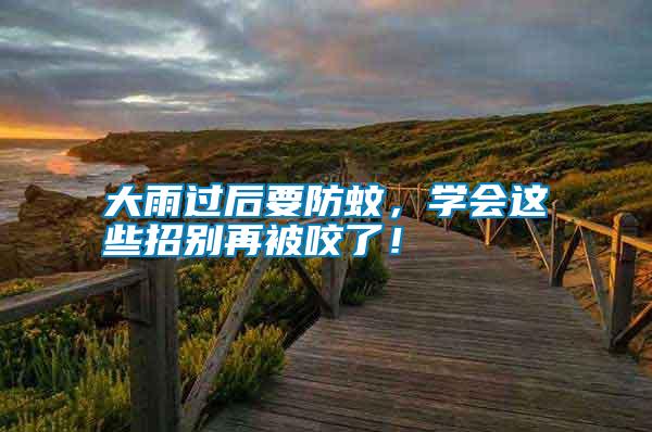 大雨過后要防蚊，學(xué)會這些招別再被咬了！