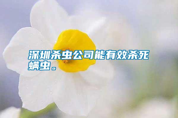 深圳殺蟲公司能有效殺死螨蟲。