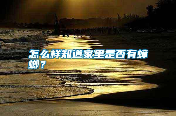 怎么樣知道家里是否有蟑螂？