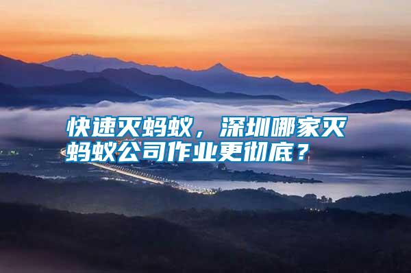 快速滅螞蟻，深圳哪家滅螞蟻公司作業更徹底？