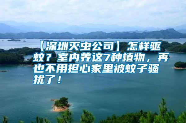【深圳滅蟲公司】怎樣驅蚊？室內養這7種植物，再也不用擔心家里被蚊子騷擾了！