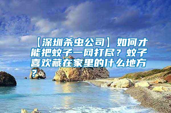 【深圳殺蟲(chóng)公司】如何才能把蚊子一網(wǎng)打盡？蚊子喜歡藏在家里的什么地方？