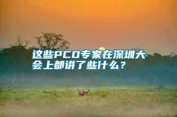 這些PCO專家在深圳大會上都講了些什么？
