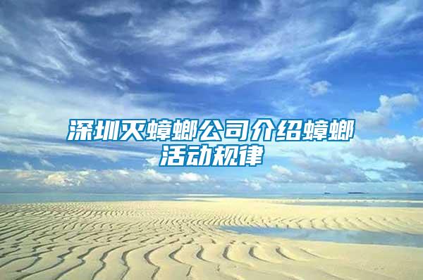 深圳滅蟑螂公司介紹蟑螂活動規律