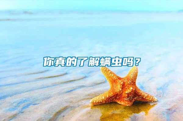 你真的了解螨蟲(chóng)嗎？