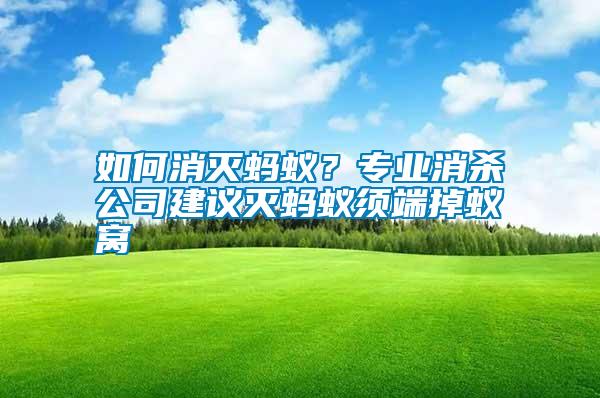 如何消滅螞蟻？專業消殺公司建議滅螞蟻須端掉蟻窩