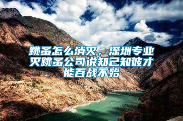 跳蚤怎么消滅，深圳專業滅跳蚤公司說知己知彼才能百戰不殆