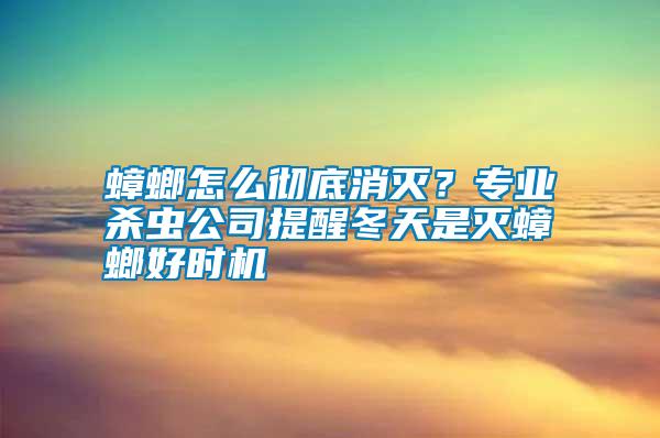 蟑螂怎么徹底消滅？專業(yè)殺蟲公司提醒冬天是滅蟑螂好時機(jī)