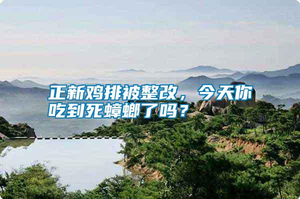 正新雞排被整改，今天你吃到死蟑螂了嗎？