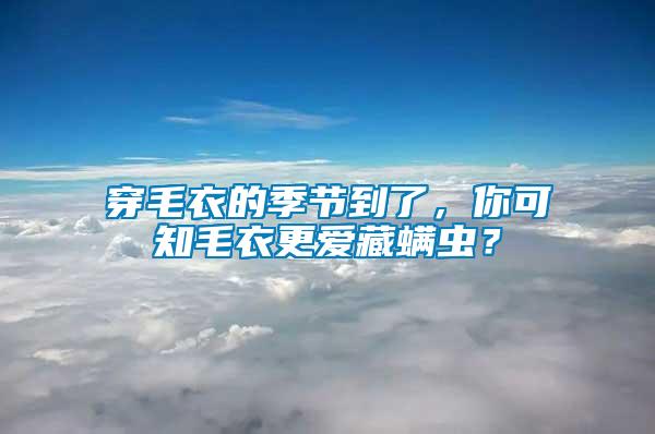 穿毛衣的季節到了，你可知毛衣更愛藏螨蟲？