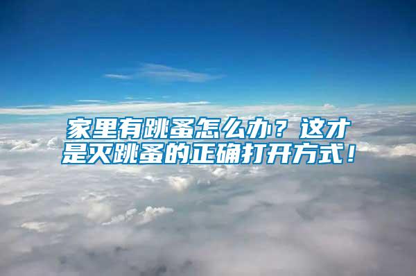 家里有跳蚤怎么辦？這才是滅跳蚤的正確打開(kāi)方式！