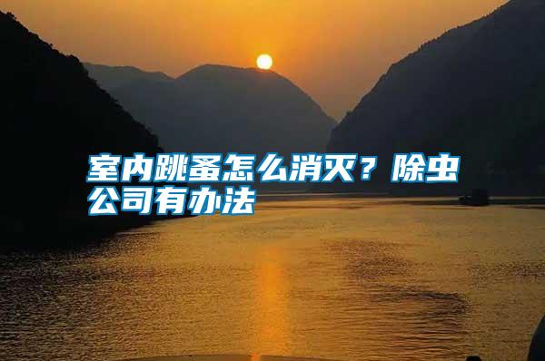 室內跳蚤怎么消滅？除蟲公司有辦法