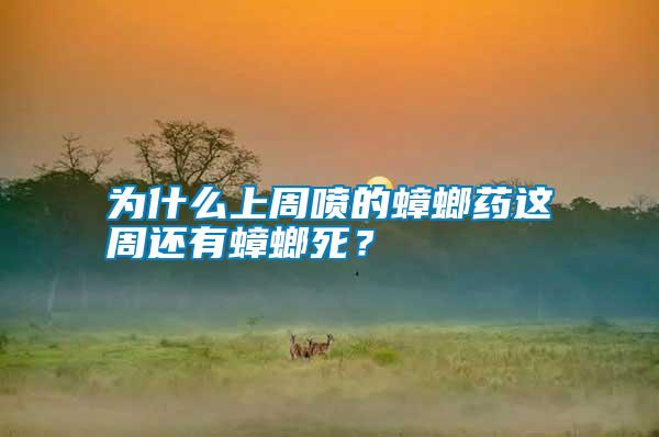 為什么上周?chē)姷捏胨庍@周還有蟑螂死？