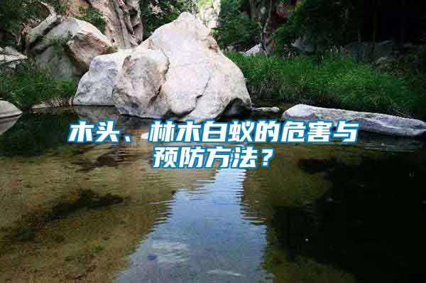 木頭、林木白蟻的危害與預防方法？