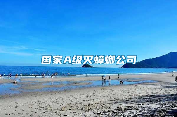 國(guó)家A級(jí)滅蟑螂公司