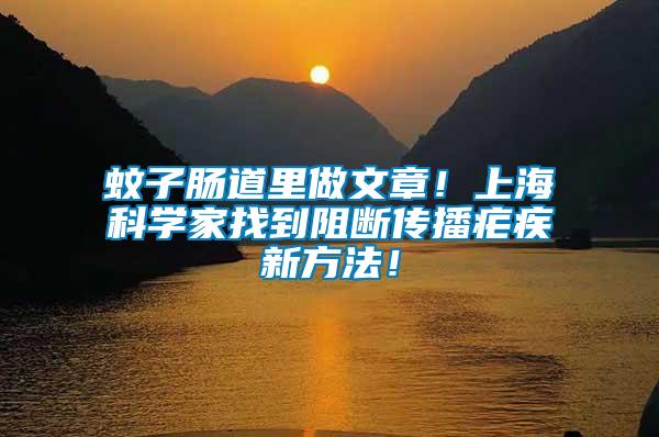 蚊子腸道里做文章！上海科學家找到阻斷傳播瘧疾新方法！