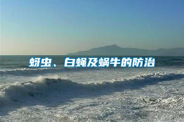 蚜蟲、白蠅及蝸牛的防治