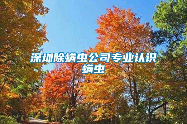 深圳除螨蟲(chóng)公司專業(yè)認(rèn)識(shí)螨蟲(chóng)