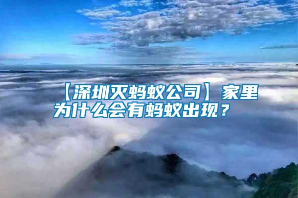 【深圳滅螞蟻公司】家里為什么會(huì)有螞蟻出現(xiàn)?