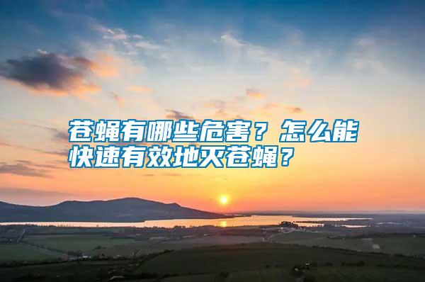 蒼蠅有哪些危害？怎么能快速有效地滅蒼蠅？