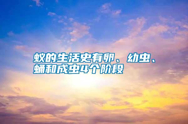 蟻的生活史有卵、幼蟲、蛹和成蟲4個階段
