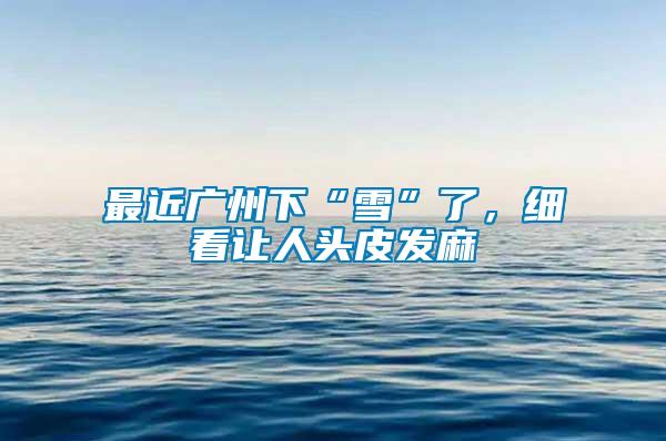 最近廣州下“雪”了，細看讓人頭皮發麻