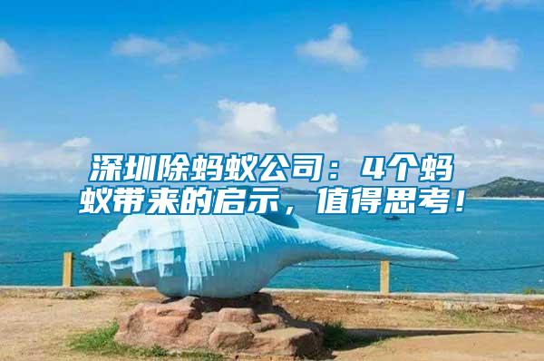 深圳除螞蟻公司：4個螞蟻帶來的啟示，值得思考！