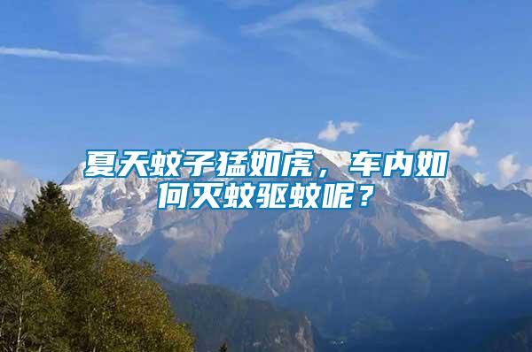 夏天蚊子猛如虎，車內如何滅蚊驅蚊呢？