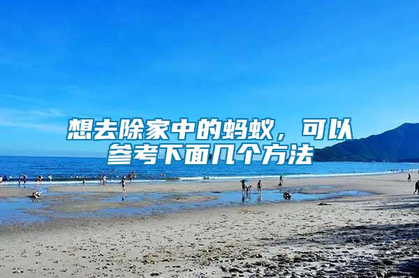 想去除家中的螞蟻，可以參考下面幾個方法