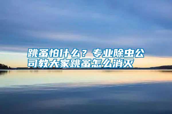 跳蚤怕什么？專業(yè)除蟲公司教大家跳蚤怎么消滅
