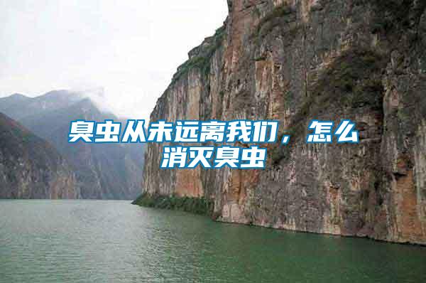 臭蟲從未遠(yuǎn)離我們，怎么消滅臭蟲