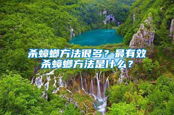 殺蟑螂方法很多？最有效殺蟑螂方法是什么？