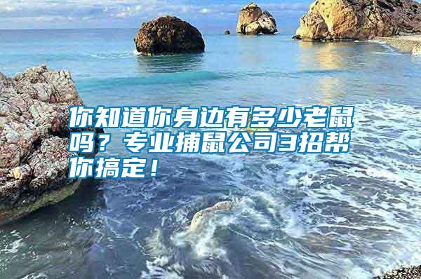 你知道你身邊有多少老鼠嗎？專業捕鼠公司3招幫你搞定！