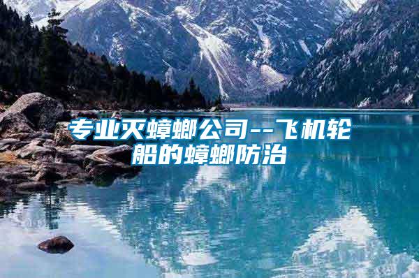 專(zhuān)業(yè)滅蟑螂公司--飛機(jī)輪船的蟑螂防治