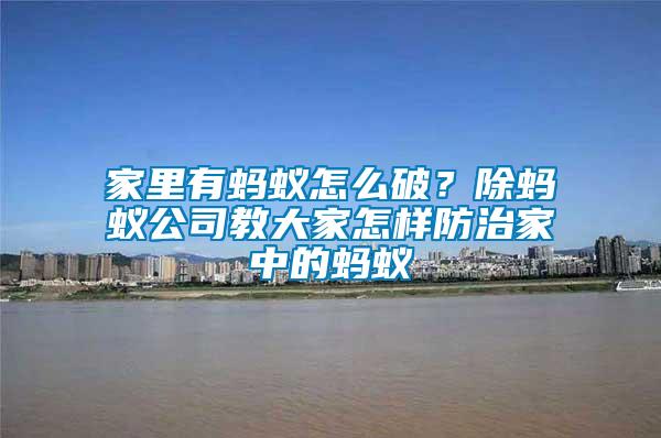 家里有螞蟻怎么破？除螞蟻公司教大家怎樣防治家中的螞蟻