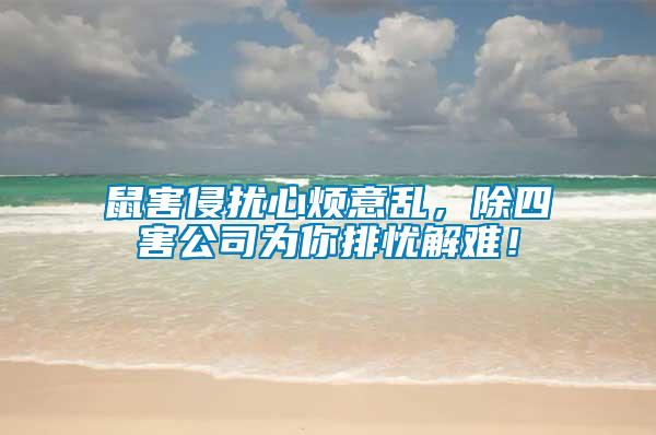 鼠害侵擾心煩意亂，除四害公司為你排憂解難！