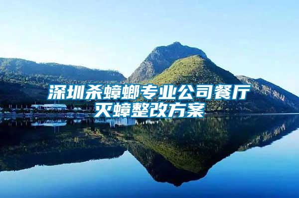 深圳殺蟑螂專業公司餐廳滅蟑整改方案