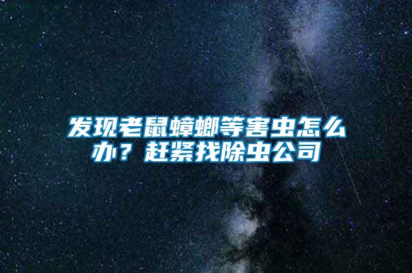 發(fā)現(xiàn)老鼠蟑螂等害蟲怎么辦？趕緊找除蟲公司