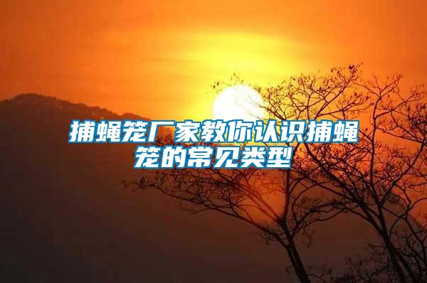 捕蠅籠廠(chǎng)家教你認(rèn)識(shí)捕蠅籠的常見(jiàn)類(lèi)型