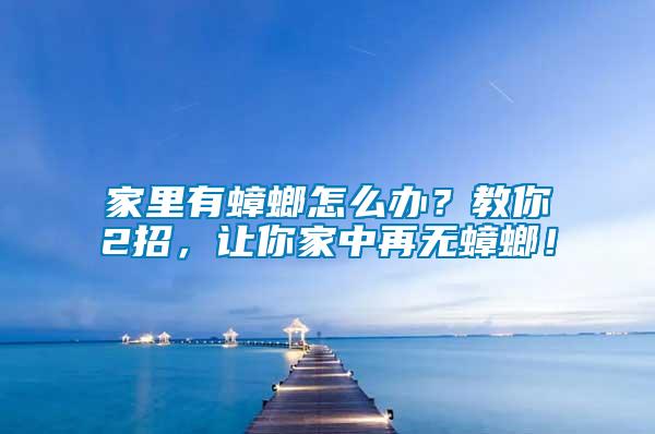 家里有蟑螂怎么辦？教你2招，讓你家中再無(wú)蟑螂！