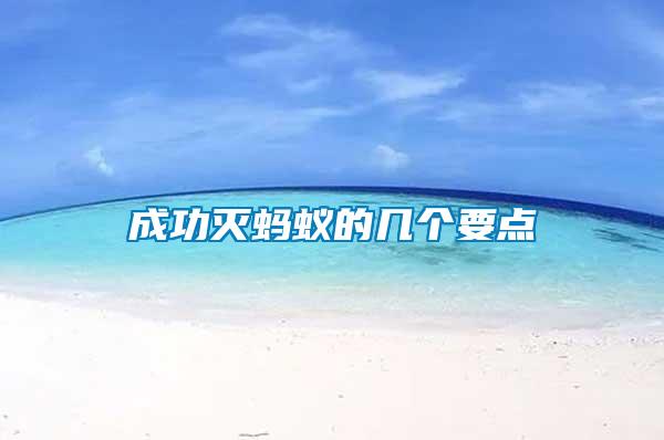 成功滅螞蟻的幾個要點(diǎn)