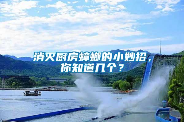 消滅廚房蟑螂的小妙招，你知道幾個？