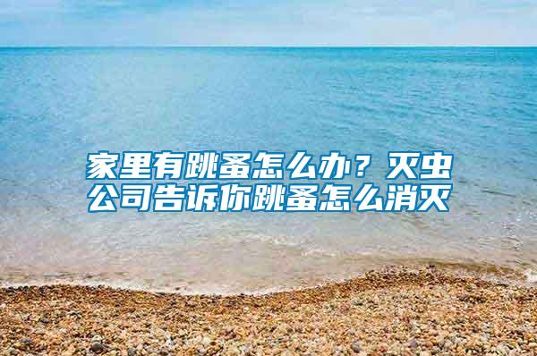 家里有跳蚤怎么辦？滅蟲公司告訴你跳蚤怎么消滅