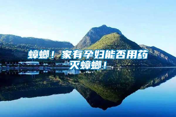 蟑螂！家有孕婦能否用藥滅蟑螂！