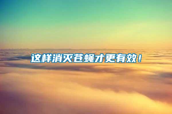 這樣消滅蒼蠅才更有效！