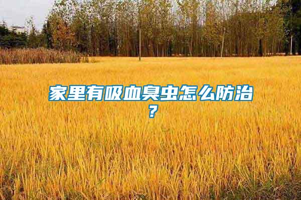 家里有吸血臭蟲怎么防治？
